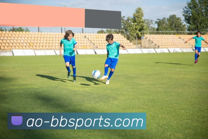 贝博体育BBSport平台生态图