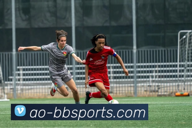 贝博体育BBSportAPP 封面图